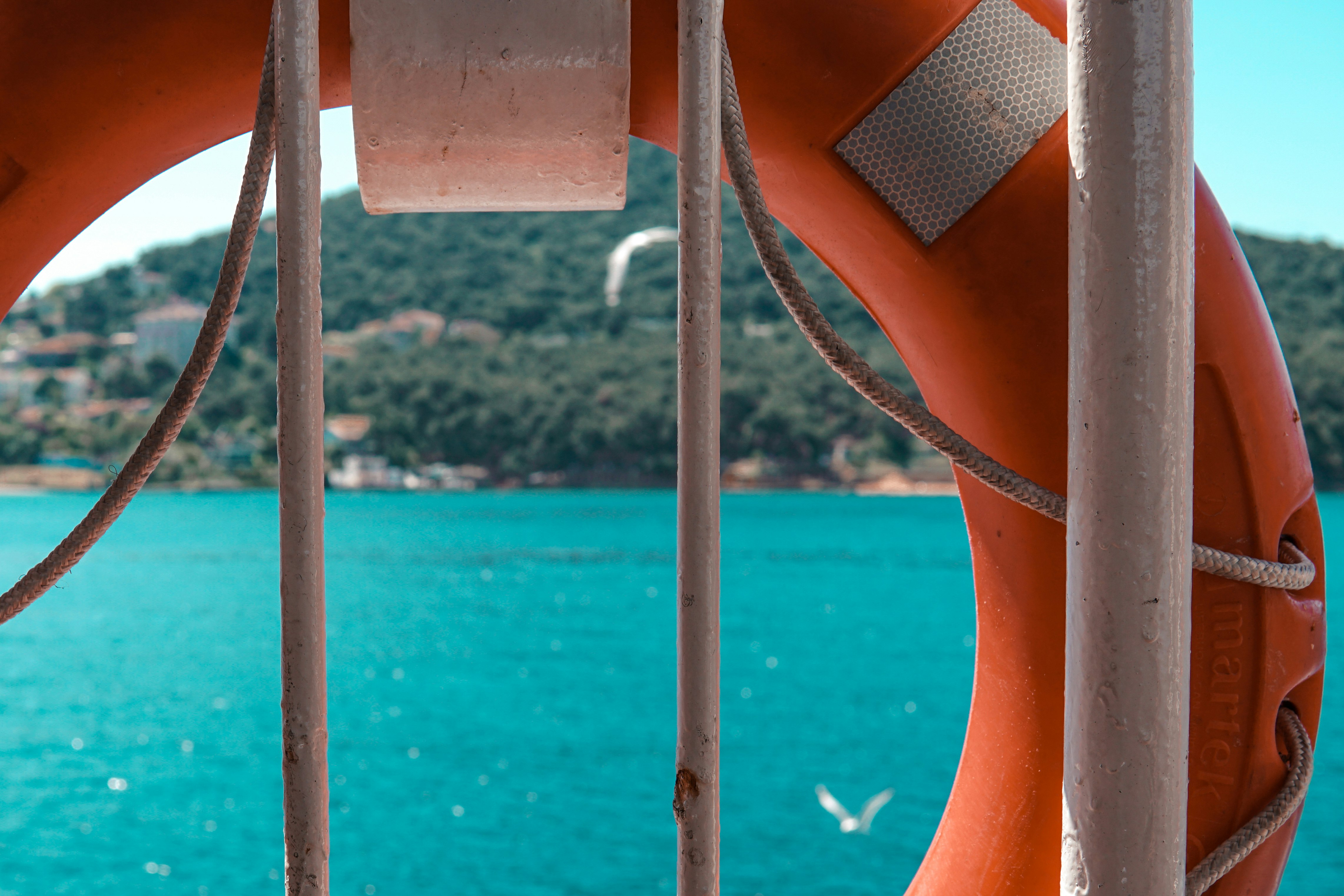 blue metal fence near sea during daytime